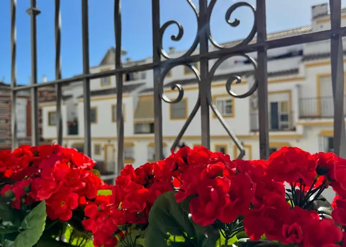 Homestay szállás Atico 803